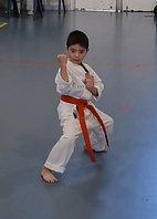 Patrick doing kata